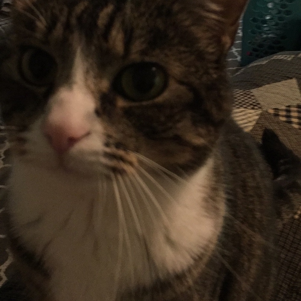 Meet your Posher, Shauna